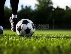 沙特对阵国,足未进海湾,杯决赛,ag真人官网,ag真人视讯,ag真人娱乐,ag真人注册,ag真人平台,ag真人试玩