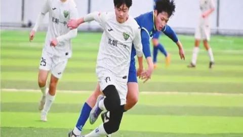 大乐透期号专家推荐：猛龙主场让值异常分析