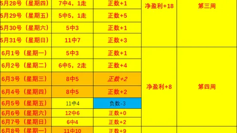 真人 213040 49